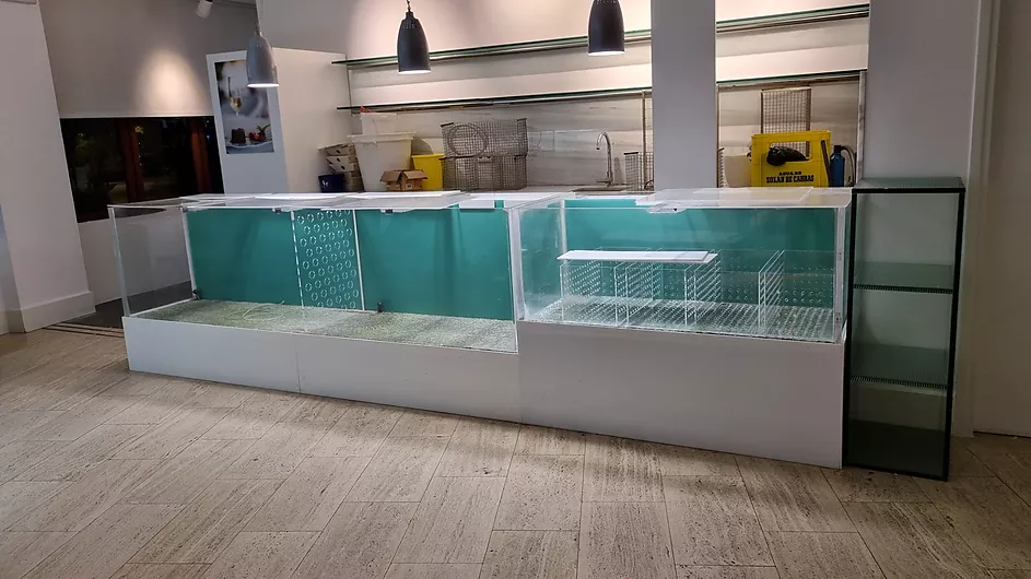 Limpieza, lijado y pulido de acuario